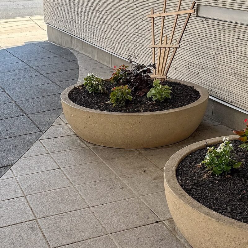Concrete Minimalist Planter